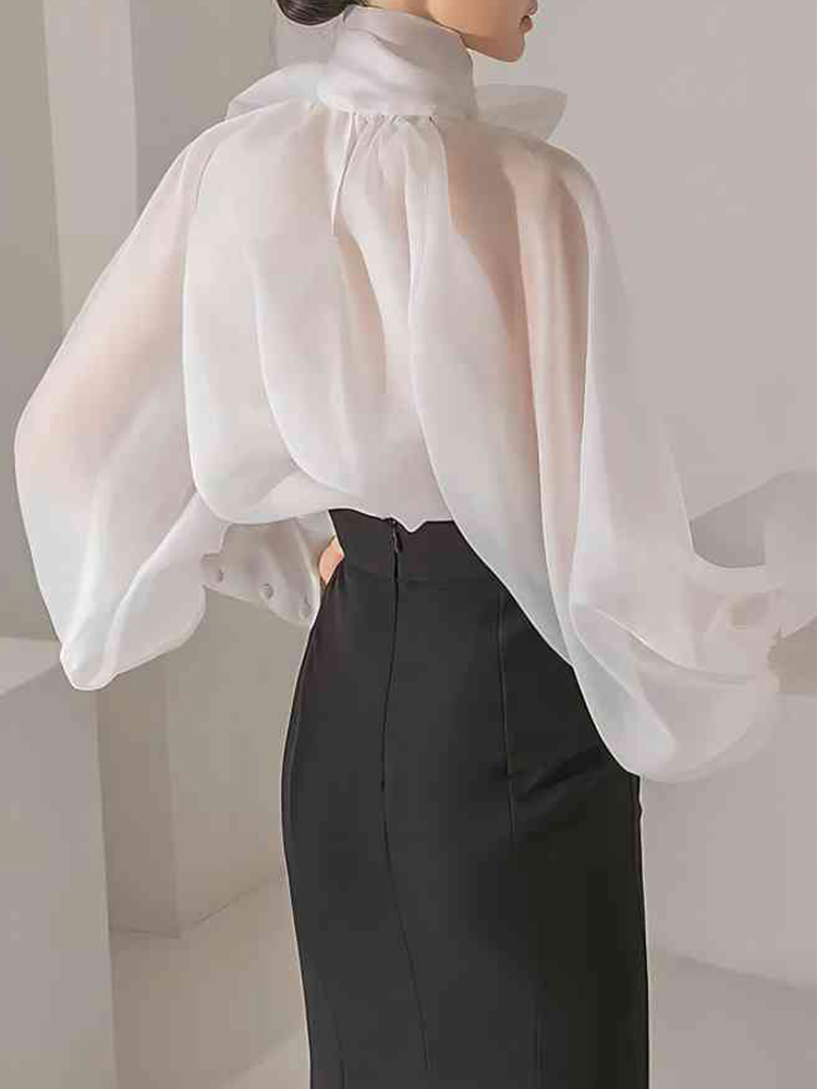 Women's Elegant Lantern Sleeve - Street Fashion Necklace avaliação e preço